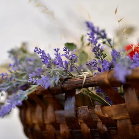 Refugio Do Raposo/casa Deneb * Montes da Senhora