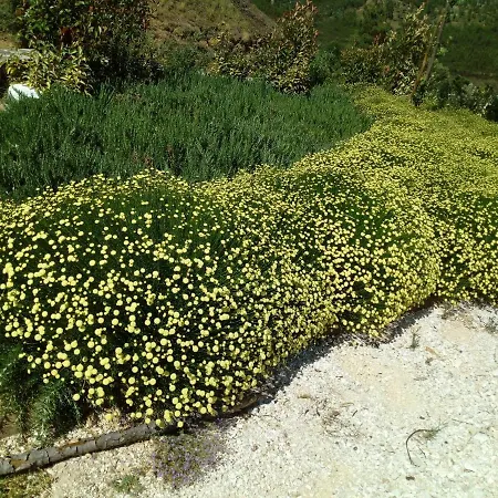 Hébergement de vacances Refugio Do Raposo/casa Deneb *