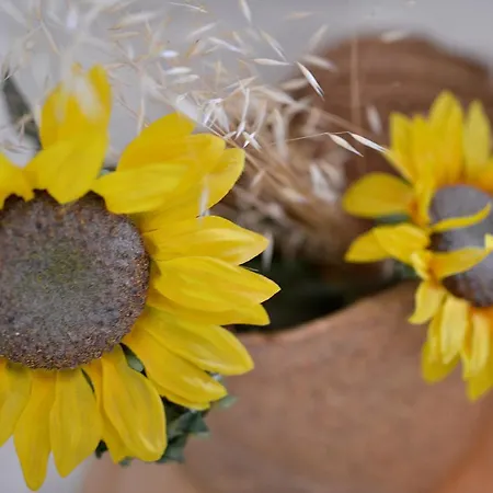Hébergement de vacances Refugio Do Raposo/casa Deneb Montes da Senhora