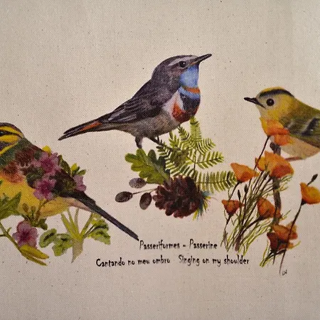 Hébergement de vacances Refugio Do Raposo/casa Deneb *