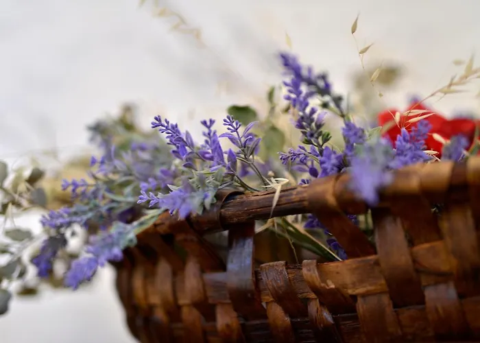 Refugio Do Raposo/casa Deneb * Montes da Senhora
