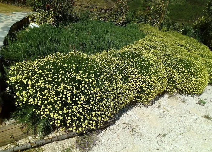 Semesterbostad Refugio Do Raposo/casa Deneb *