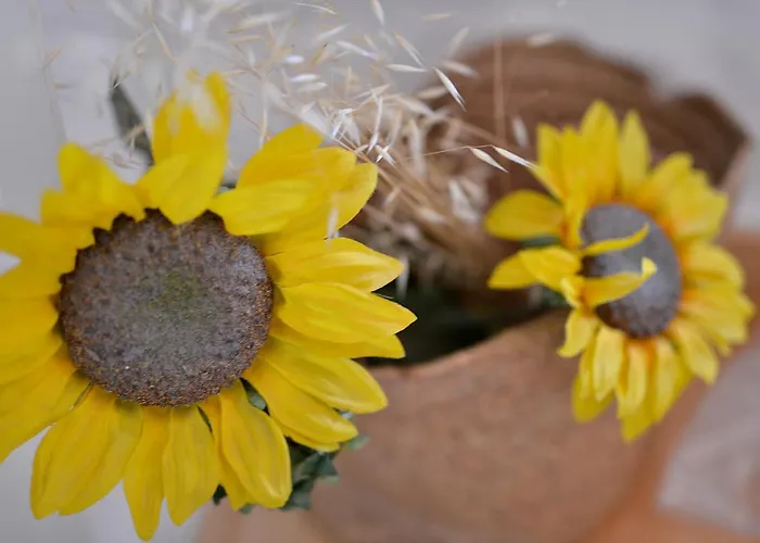 Semesterbostad Refugio Do Raposo/casa Deneb Montes da Senhora