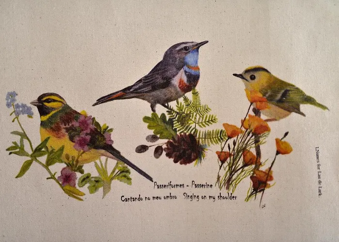 Semesterbostad Refugio Do Raposo/casa Deneb *